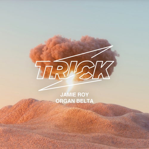 Jamie Roy - Organ Belta [TRICK036]